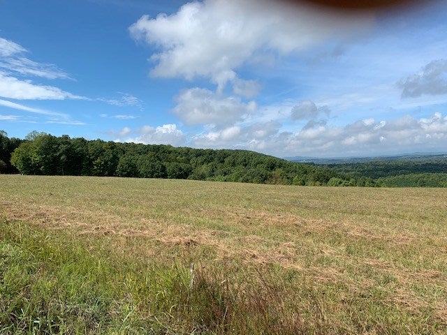 Gardner Farm Road, Unit 4 Appomattox, VA 24522 - Photo 6 of 8 Gallery Image 6