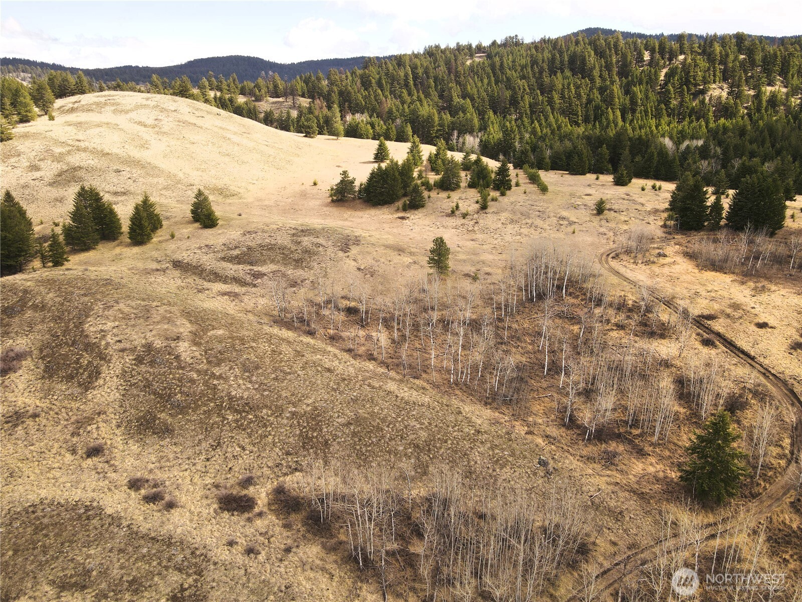 0 Eagle View Road Oroville, WA 98844 - Photo 1 of 20 Gallery Image 1
