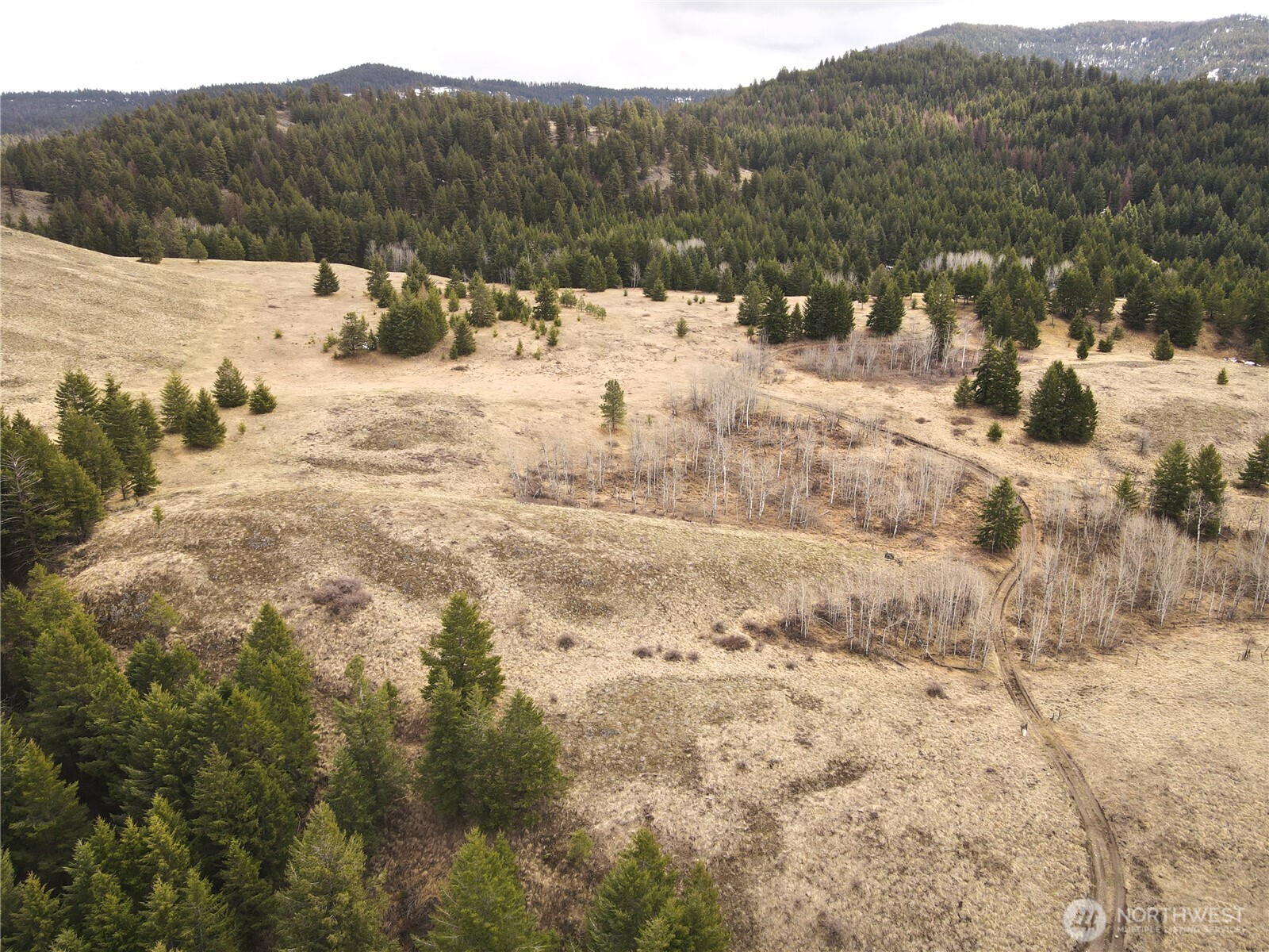 0 Eagle View Road Oroville, WA 98844 - Photo 15 of 20 Gallery Image 15