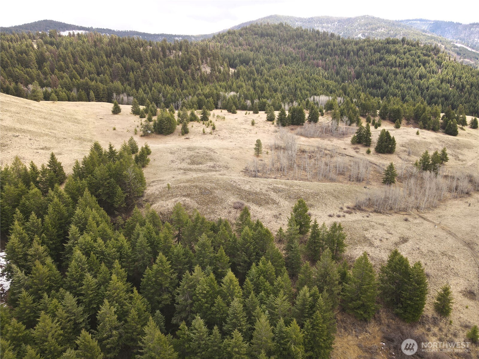 0 Eagle View Road Oroville, WA 98844 - Photo 17 of 20 Gallery Image 17