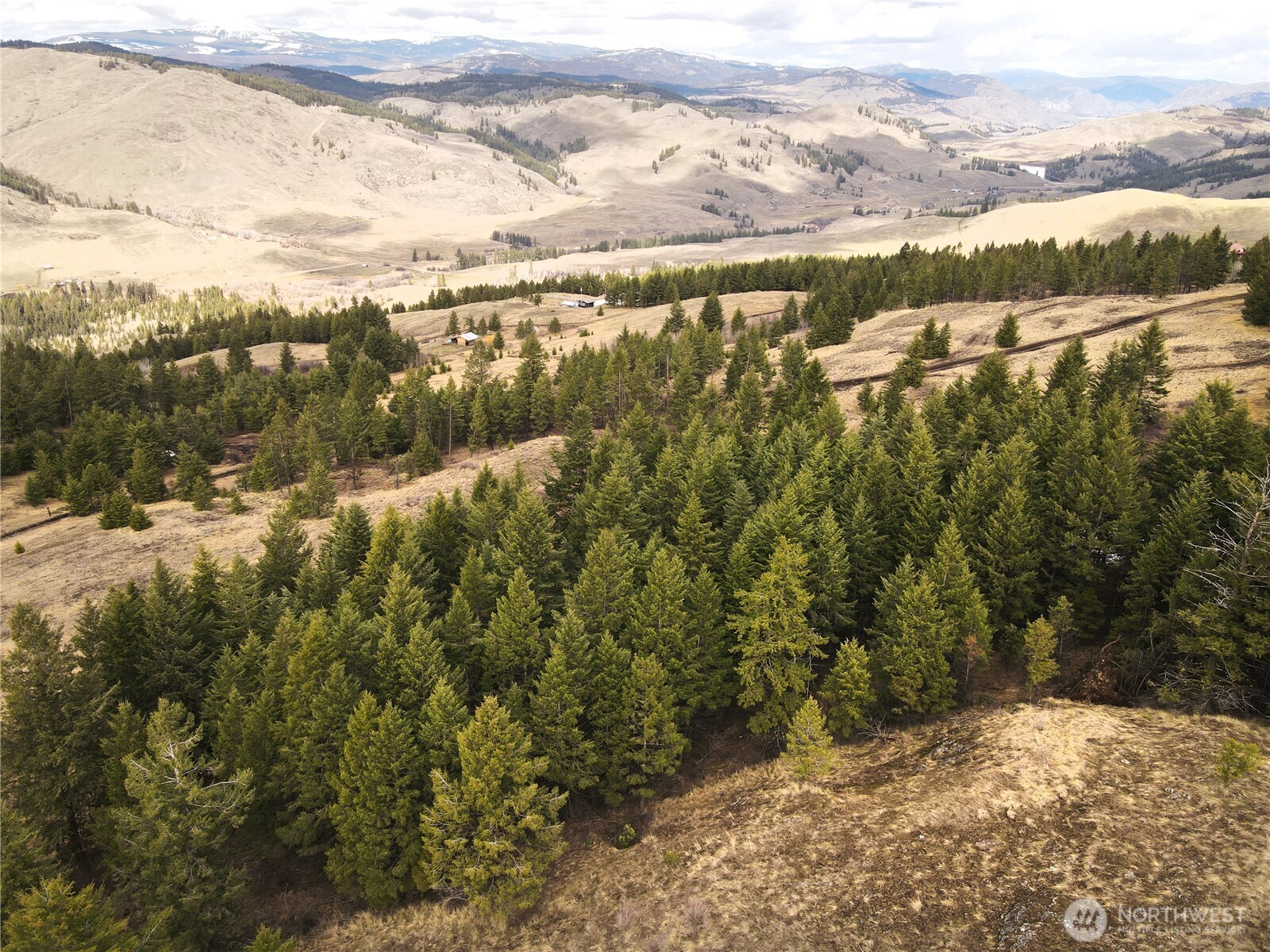 0 Eagle View Road Oroville, WA 98844 - Photo 20 of 20 Gallery Image 20
