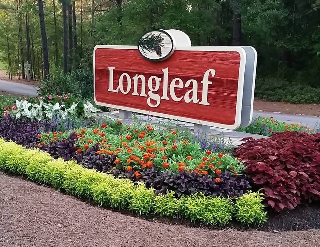 Lot 110 Dogwood Way Blue Ridge, GA 30513 - Photo 6 of 12 Gallery Image 6