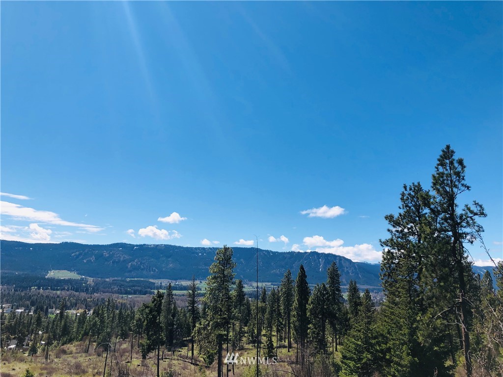 6 Owl Ridge Drive Cle Elum, WA 98922 - Photo 1 of 12 Gallery Image 1