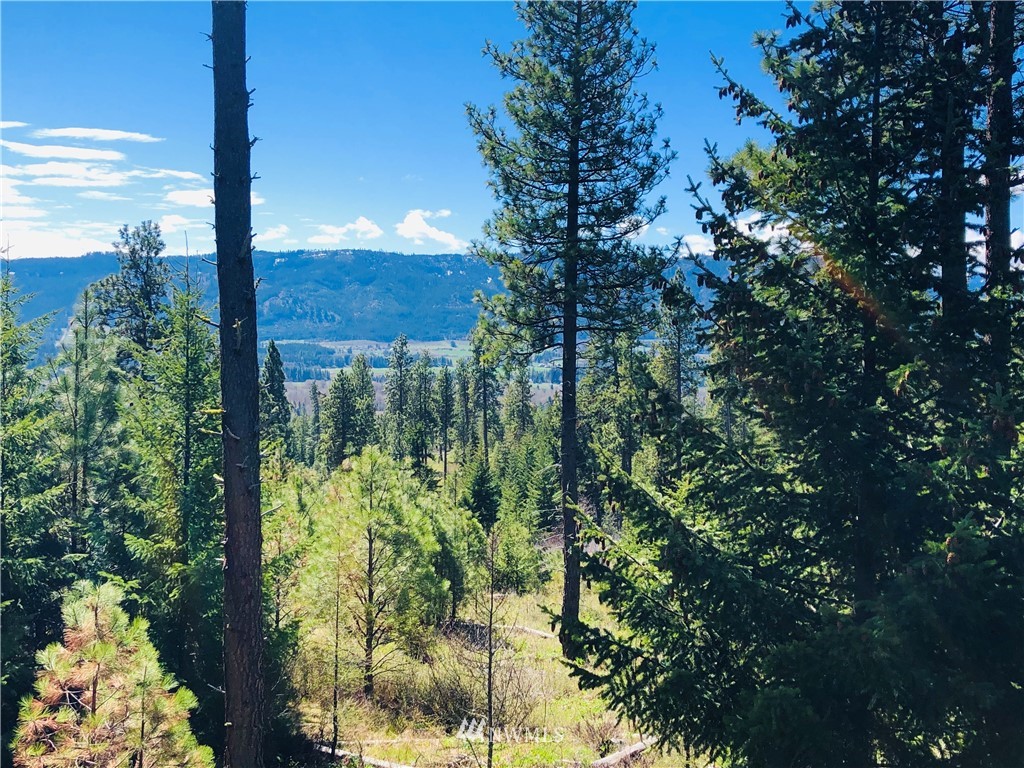 6 Owl Ridge Drive Cle Elum, WA 98922 - Photo 2 of 12 Gallery Image 2