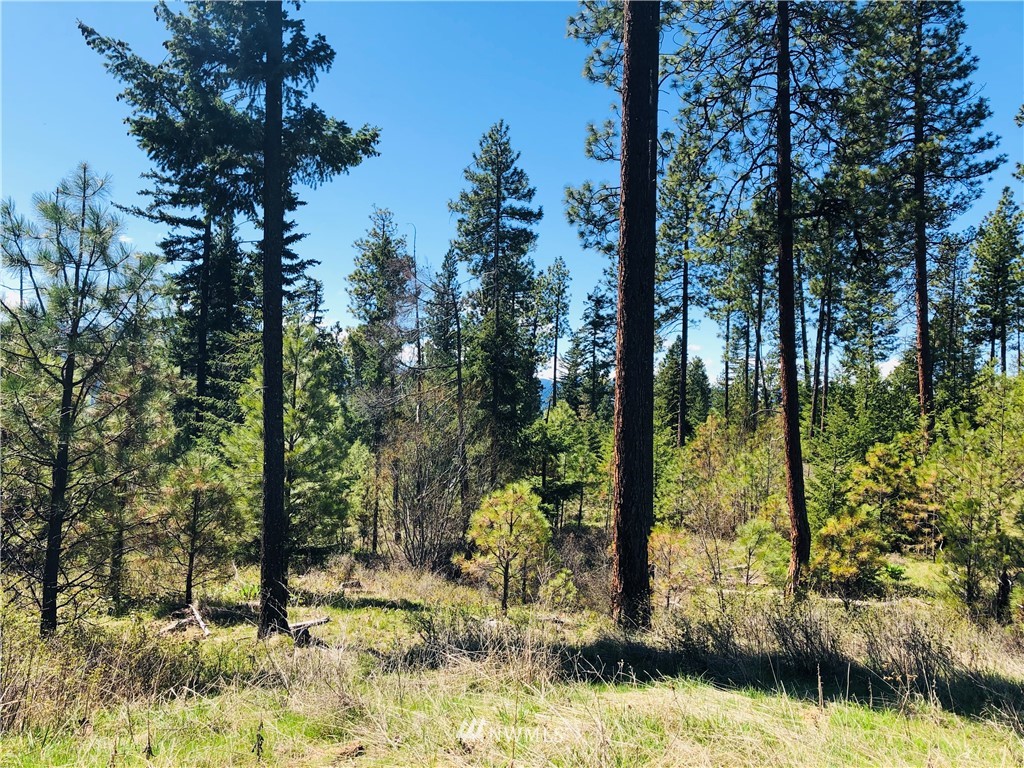 6 Owl Ridge Drive Cle Elum, WA 98922 - Photo 11 of 12 Gallery Image 11