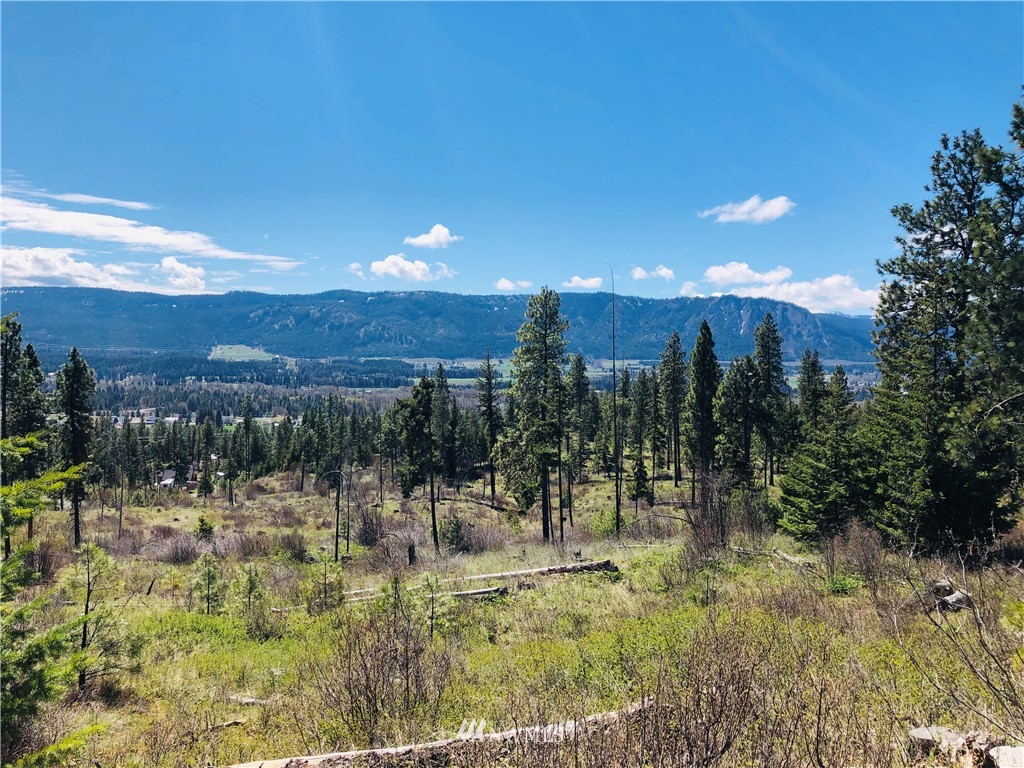 6 Owl Ridge Drive Cle Elum, WA 98922 - Photo 3 of 12 Gallery Image 3