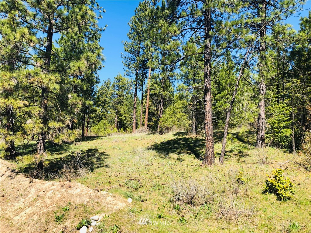 6 Owl Ridge Drive Cle Elum, WA 98922 - Photo 5 of 12 Gallery Image 5