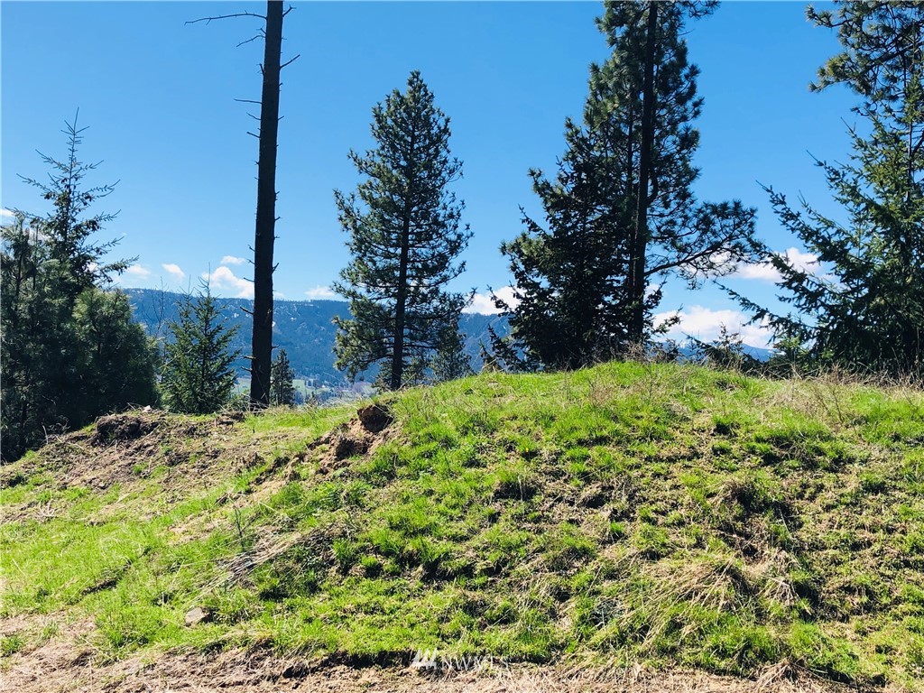 6 Owl Ridge Drive Cle Elum, WA 98922 - Photo 6 of 12 Gallery Image 6