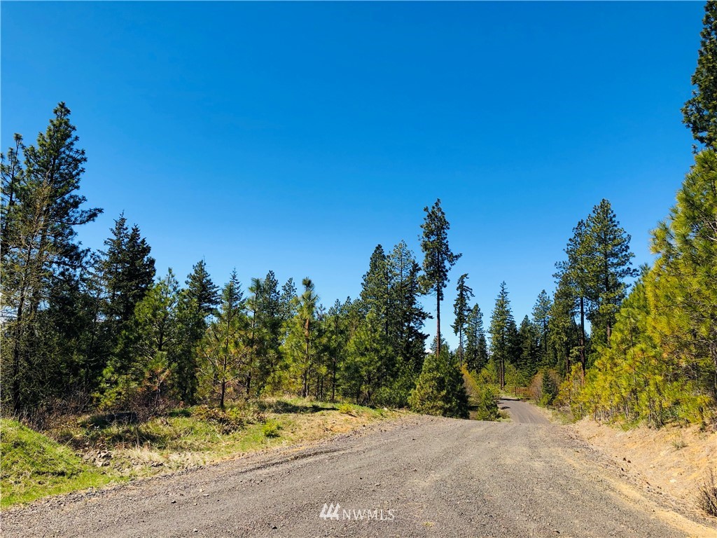 6 Owl Ridge Drive Cle Elum, WA 98922 - Photo 9 of 12 Gallery Image 9