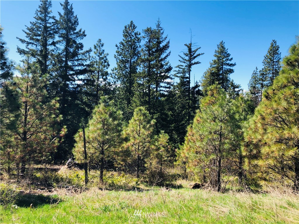 6 Owl Ridge Drive Cle Elum, WA 98922 - Photo 10 of 12 Gallery Image 10