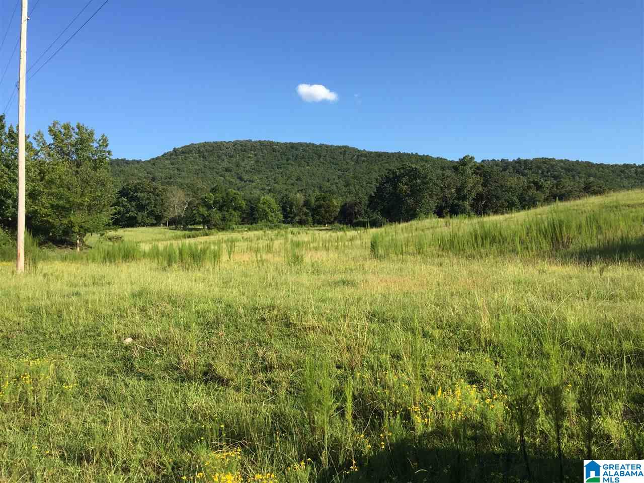 0 Valley Creek Road Piedmont, AL 36272 - Photo 8 of 28