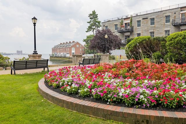 a bunch of flowers and buildings in the background