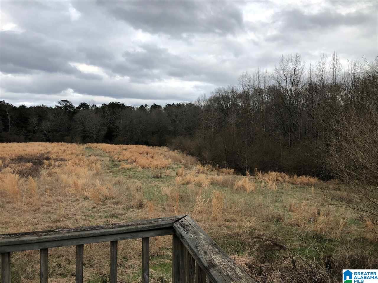 433 County Road 110 Randolph, AL 36792 - Photo 12 of 12