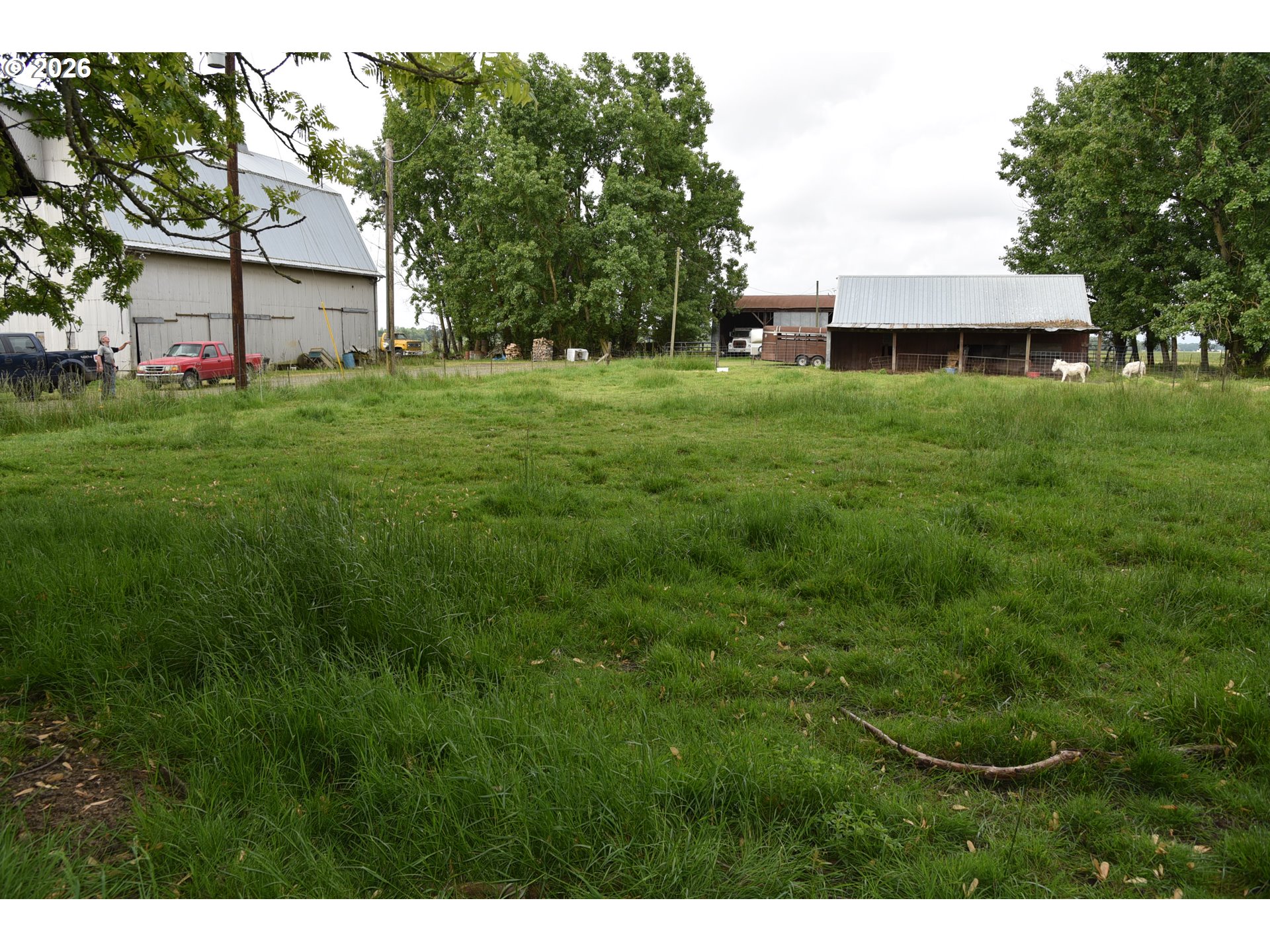 25258 Rowland Road Harrisburg, OR 97446 - Photo 5 of 21