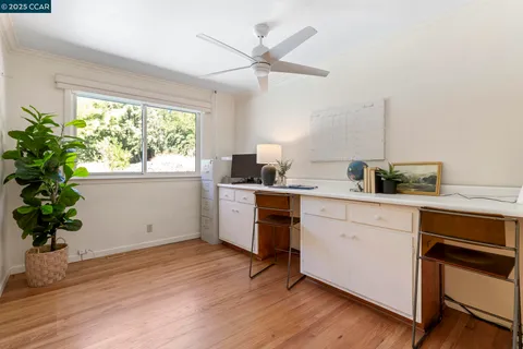 a kitchen with a potted plant on the counter and a wooden floor
