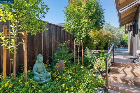 a view of garden with plants and large trees