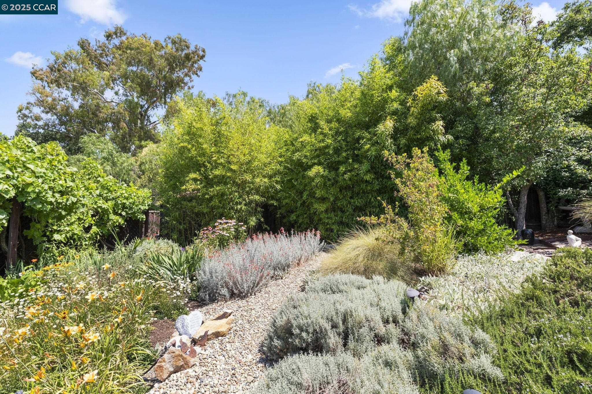 275 Gil Blas Road Danville, CA 94526 - Photo 35 of 39 a view of a lake with a tree