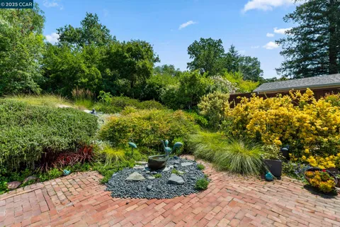 a view of a garden with plants and large trees
