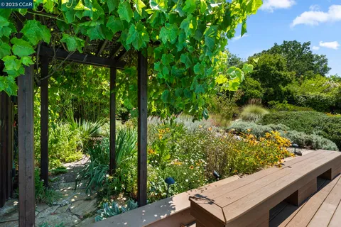a view of a garden with plants