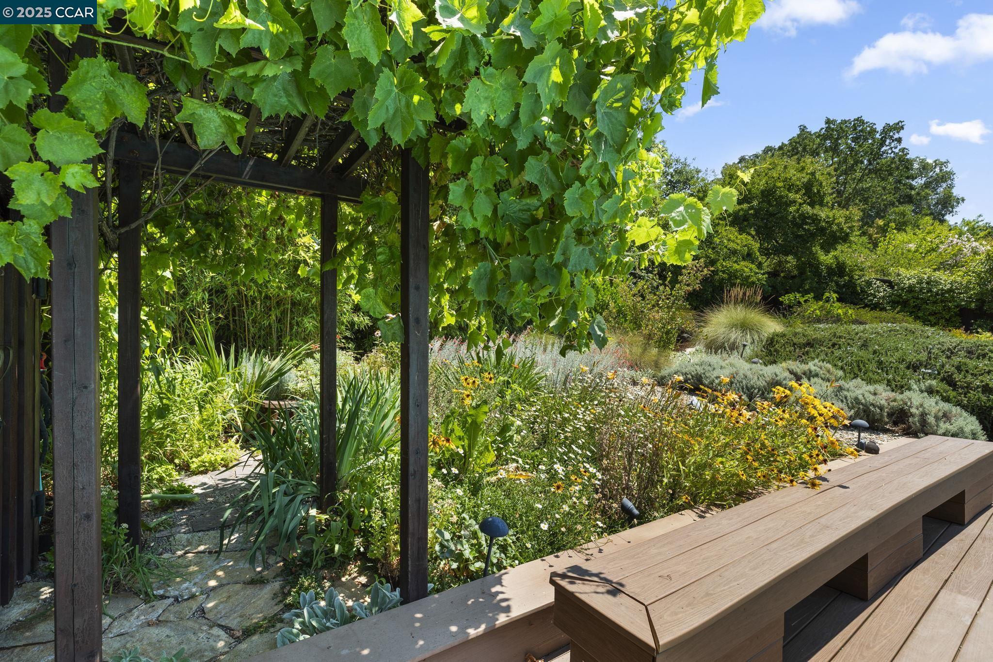 275 Gil Blas Road Danville, CA 94526 - Photo 37 of 39 a view of a garden with plants