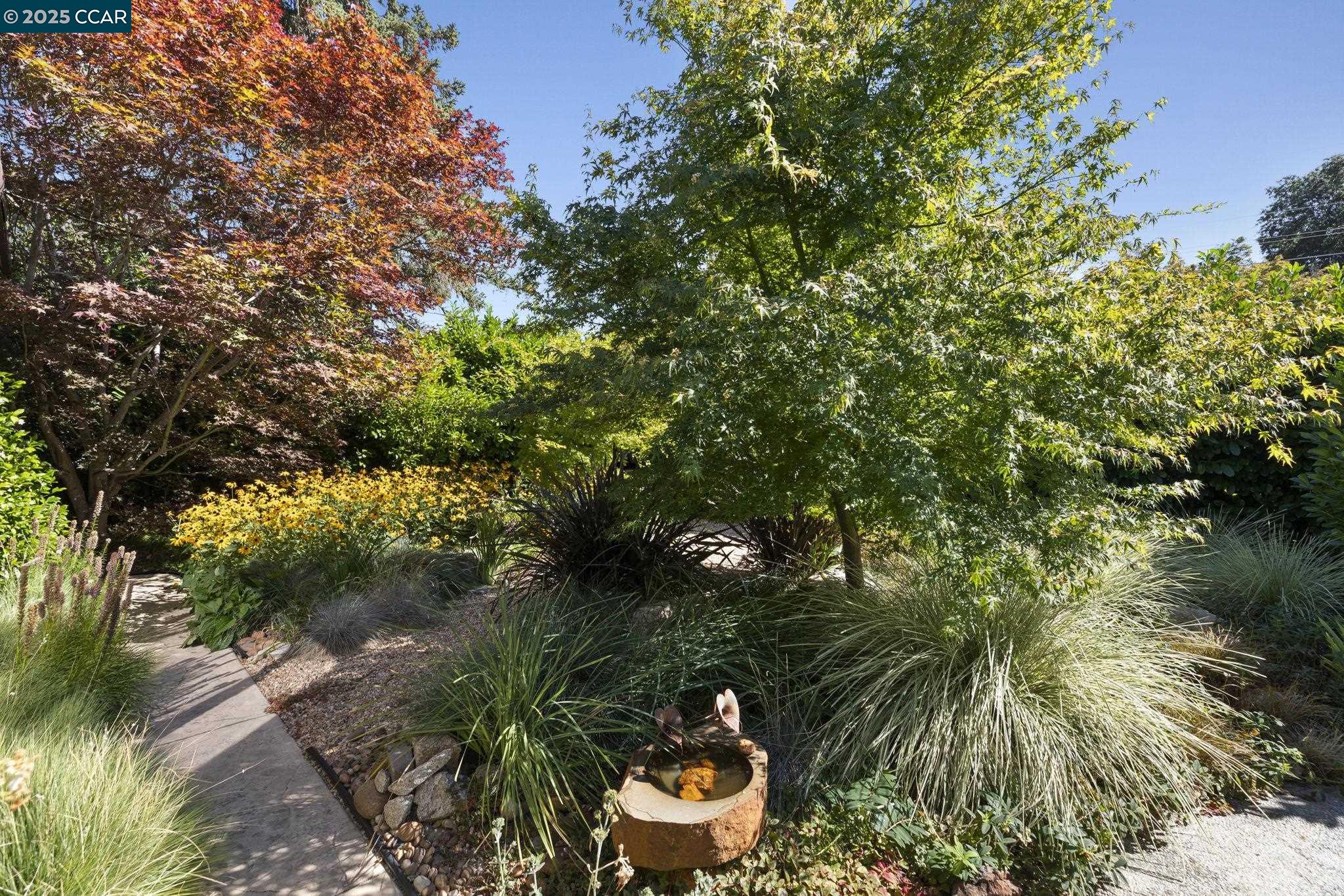 275 Gil Blas Road Danville, CA 94526 - Photo 38 of 39 a backyard of a house with lots of green space