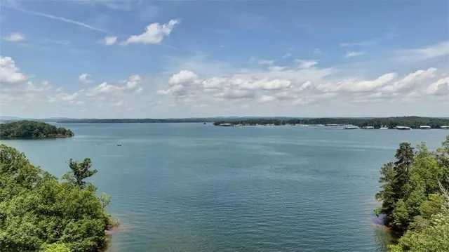 a view of a lake from a yard