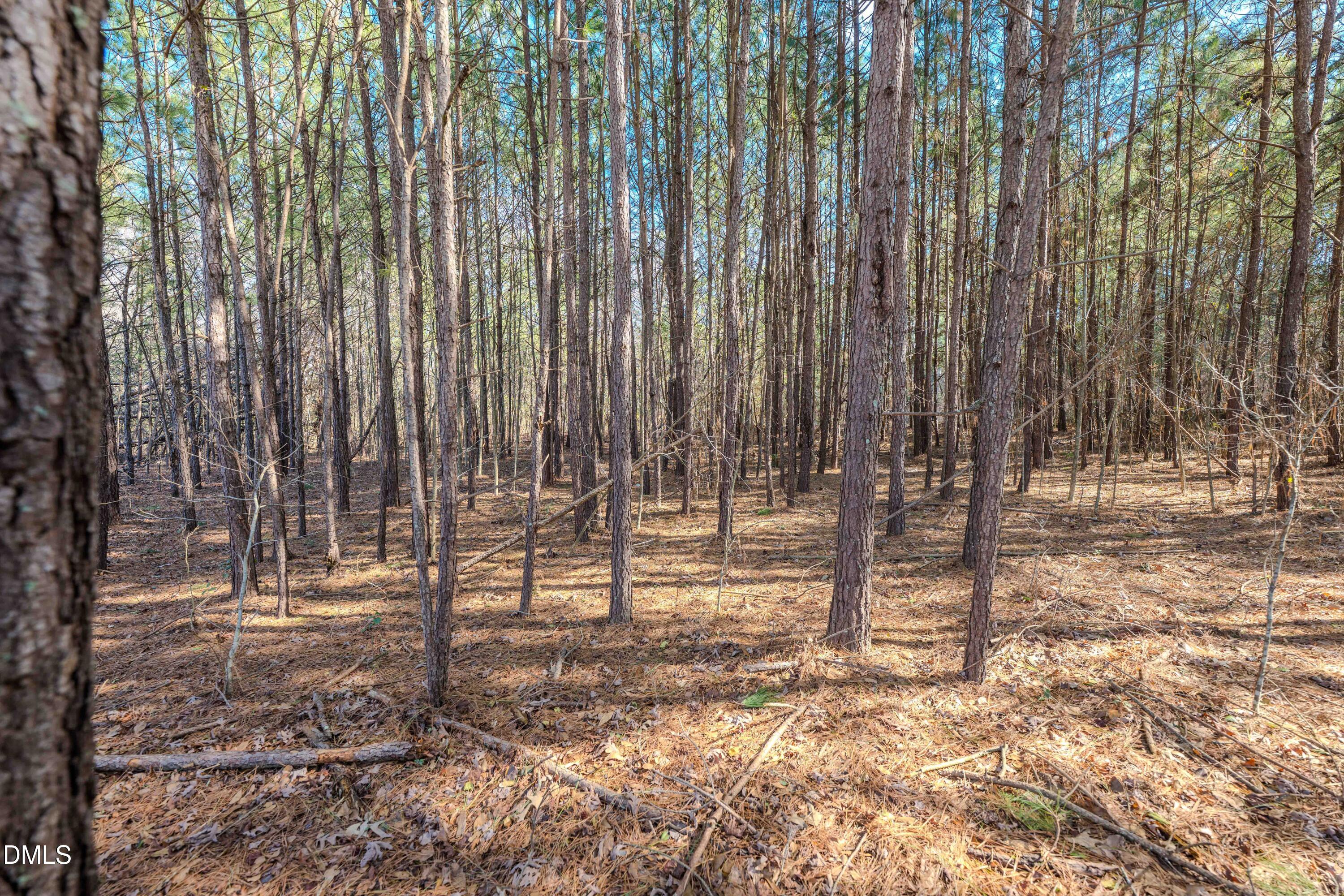 6724 Wimberly Road Willow Spring, NC 27592 - Photo 30 of 36 a view of outdoor space with wooden fence