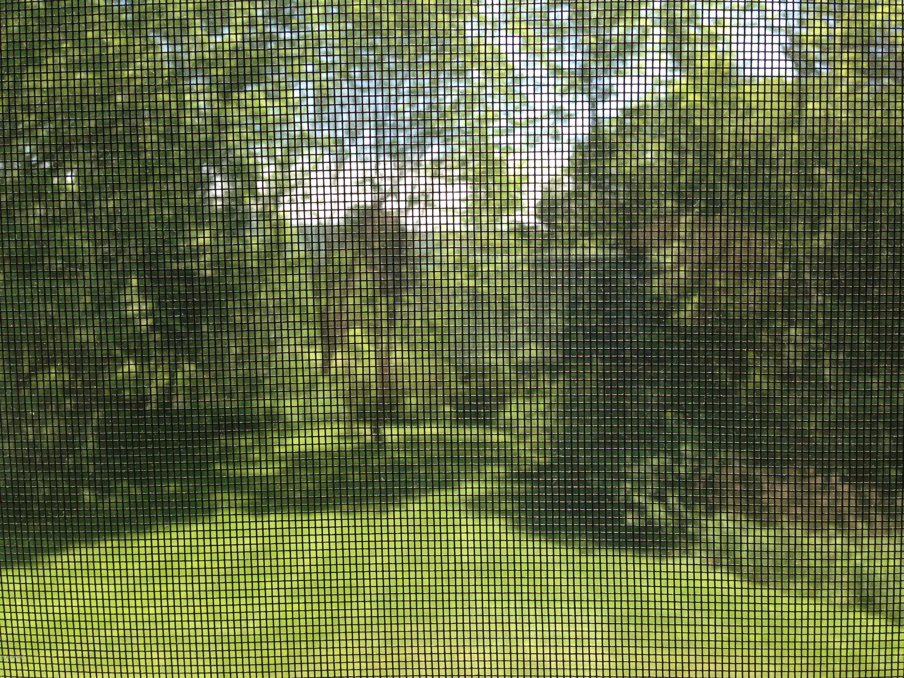 999 Holmes Road Pittsfield, MA 01201 - Photo 25 of 33 tree bordered back yard