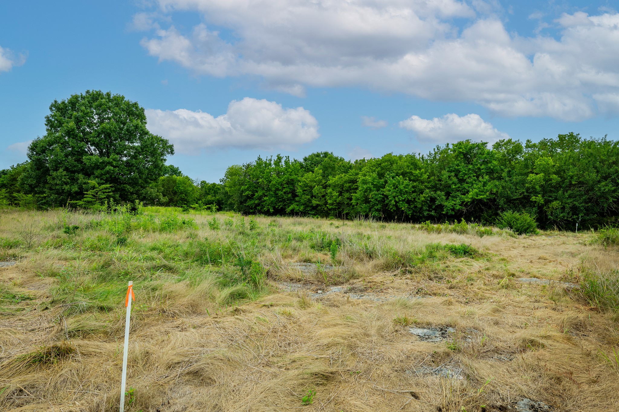 0 Haley Road Watertown, TN 37184 - Photo 17 of 18