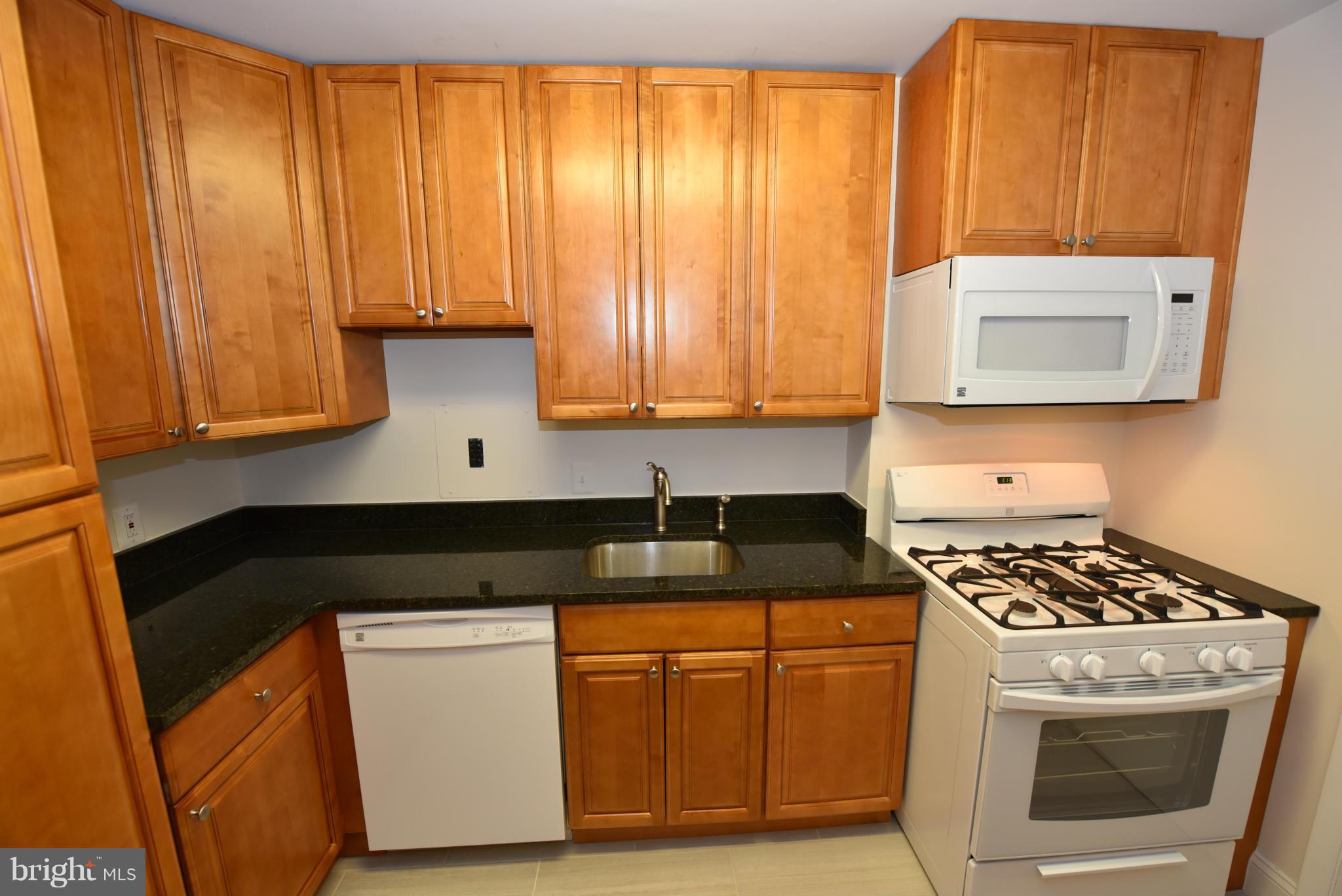 1111 University Boulevard West, Unit 317A Silver Spring, MD 20902 - Photo 4 of 24 Newer Granite Kitchen