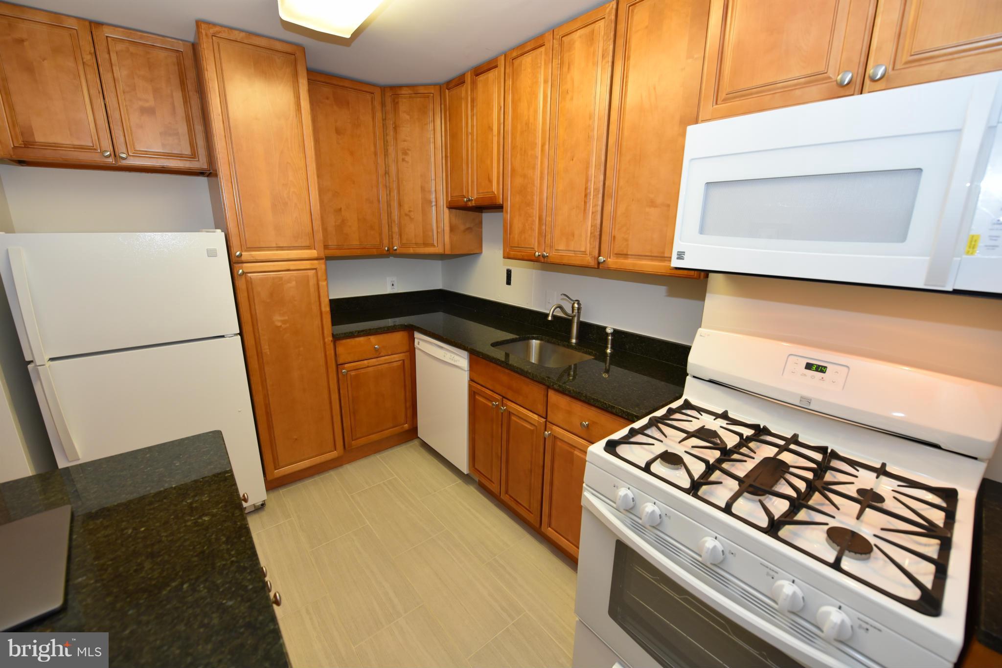 1111 University Boulevard West, Unit 317A Silver Spring, MD 20902 - Photo 6 of 24 Newer Granite Kitchen