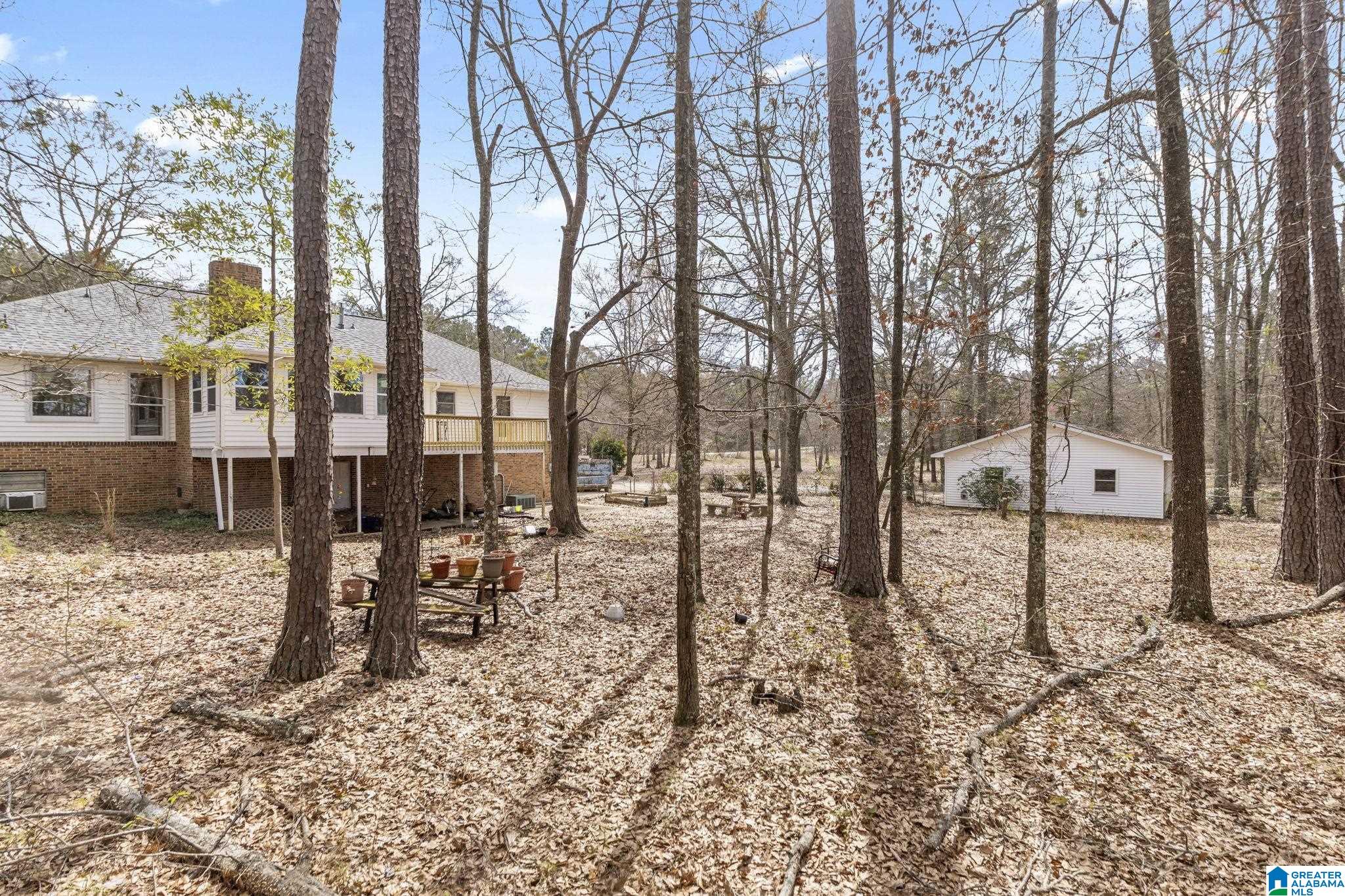 787 Thompson Chapel Road Jemison, AL 35085 - Photo 8 of 48