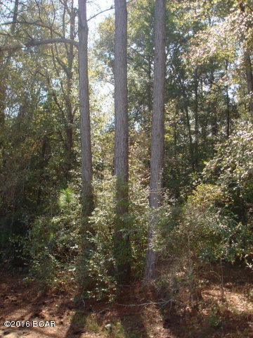 0 Syfrett Road Cottondale, FL 32431 - Photo 1 of 1 Gallery Image 1
