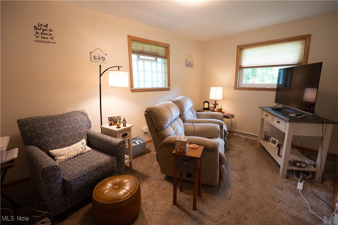 1074 South Meridian Road Youngstown, OH 44515 - Photo 23 of 42 Living area with carpet floors