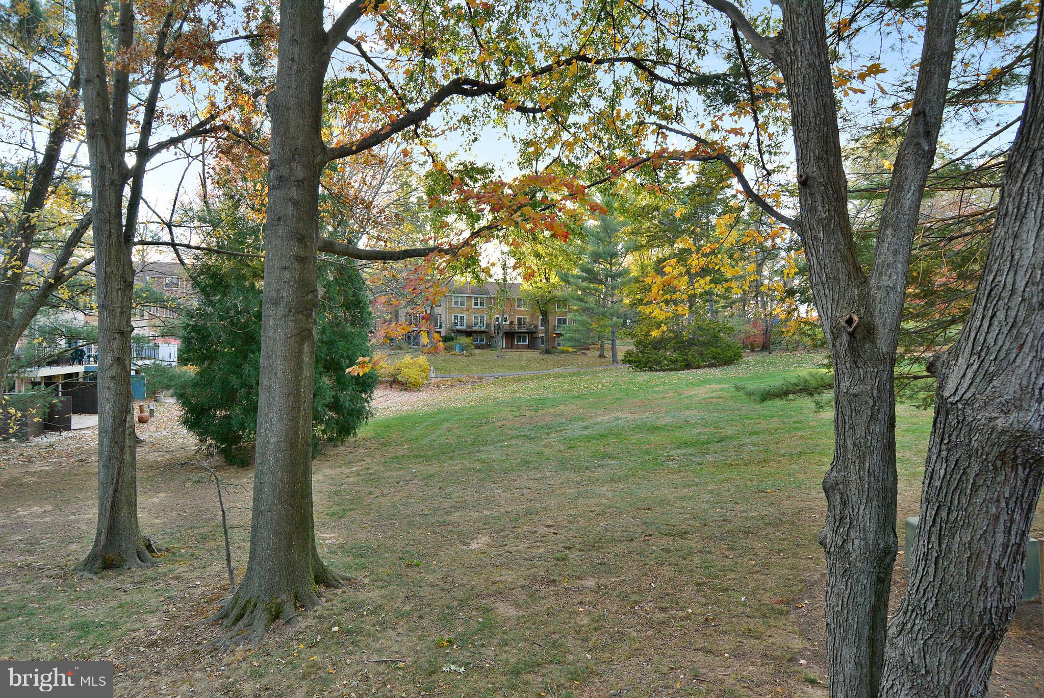 2024 Golf Course Drive Reston, VA 20191 - Photo 12 of 30 a view of a trees with yard