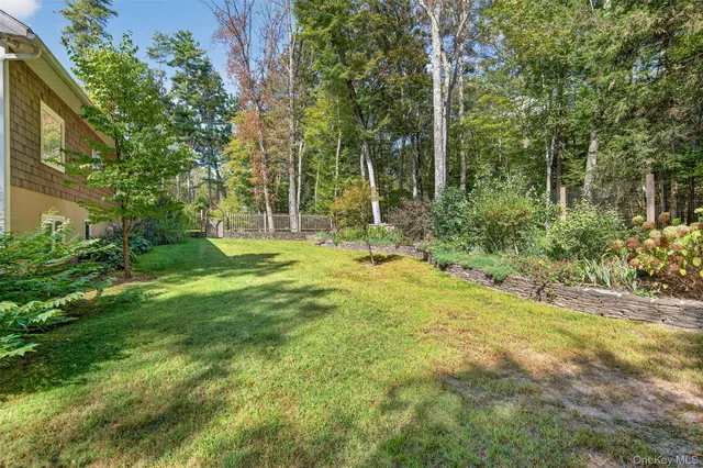 a large tree in the middle of a yard