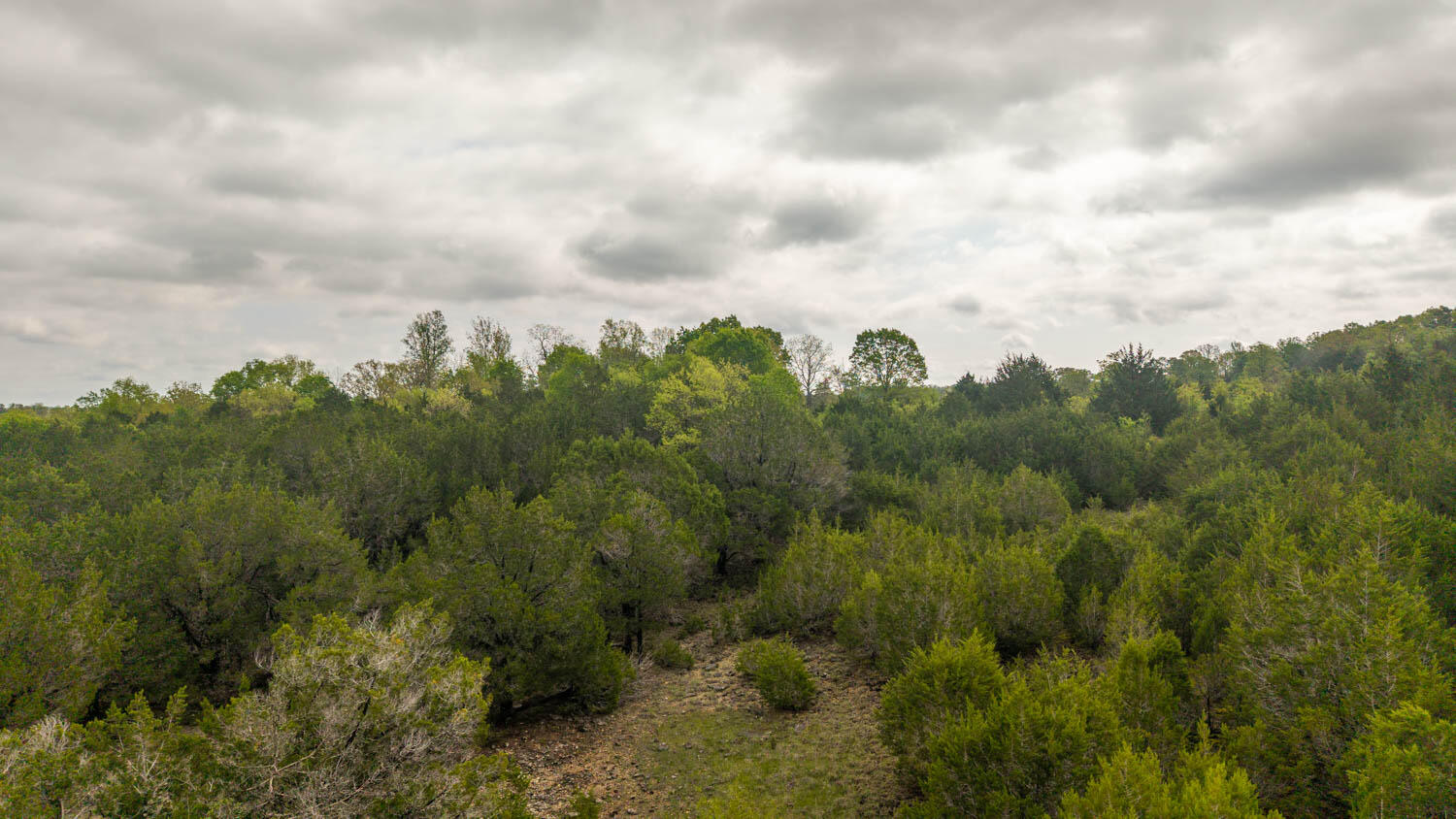 2 Little Woods Road Elizabeth, AR 72531 - Photo 11 of 17 10 acres010