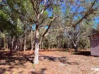 a view of a house with backyard and a tree