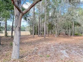 $225,000 | 2629 Northwest 29th Terrace, Bell, FL 32619