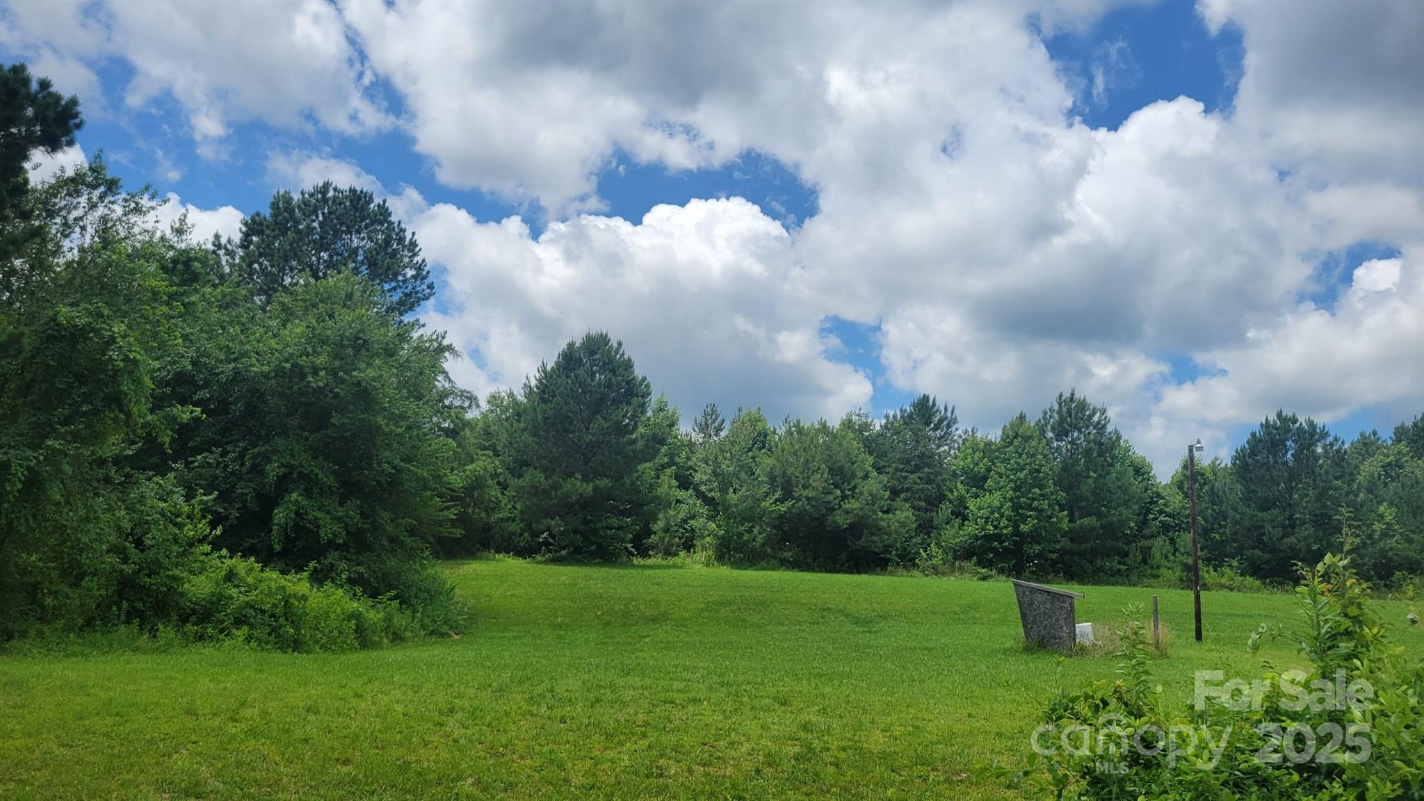 a green field with lots of trees in the background