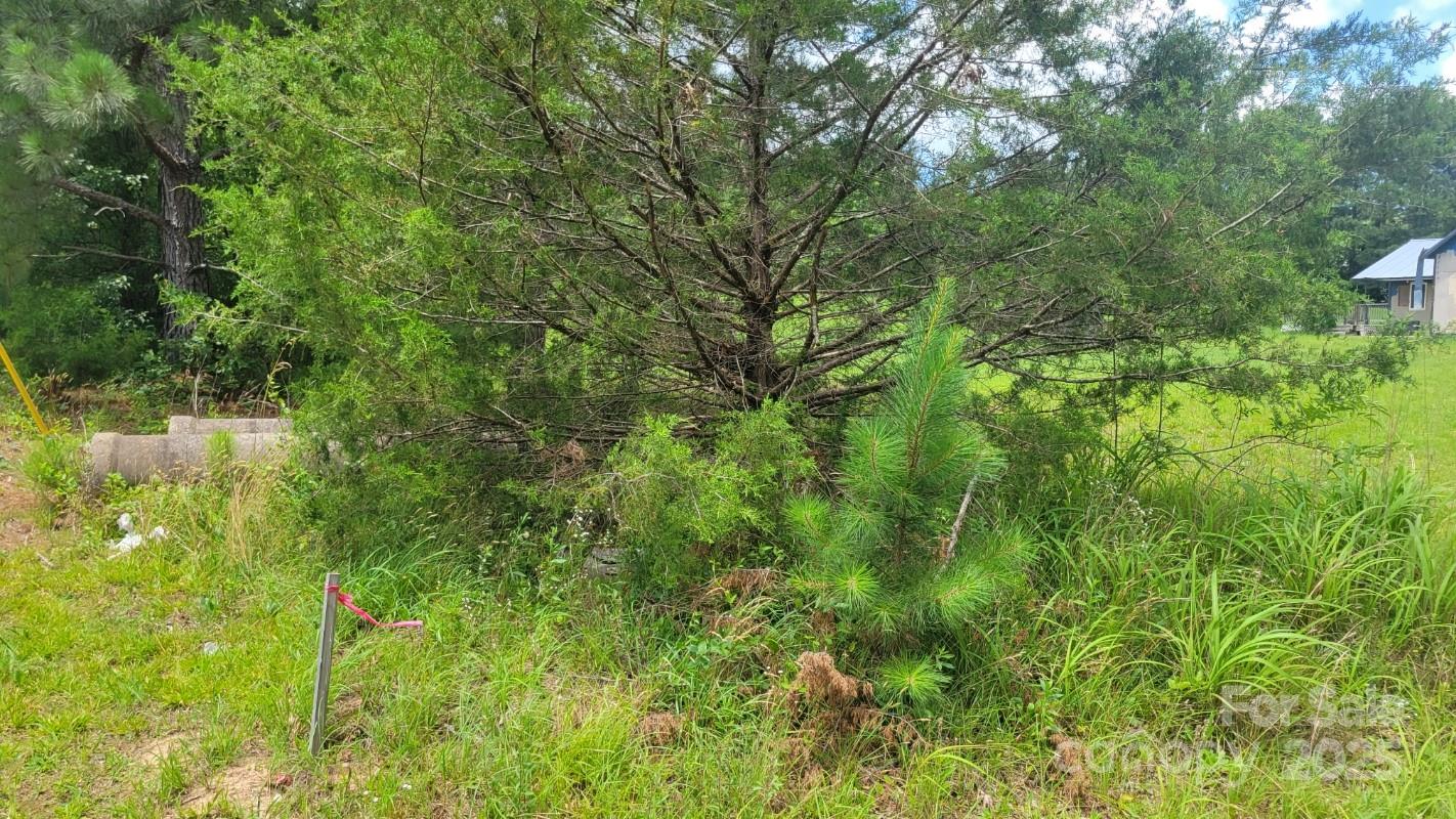 0 Riverview Road Lincolnton, NC 28092 - Photo 4 of 8 a view of a yard