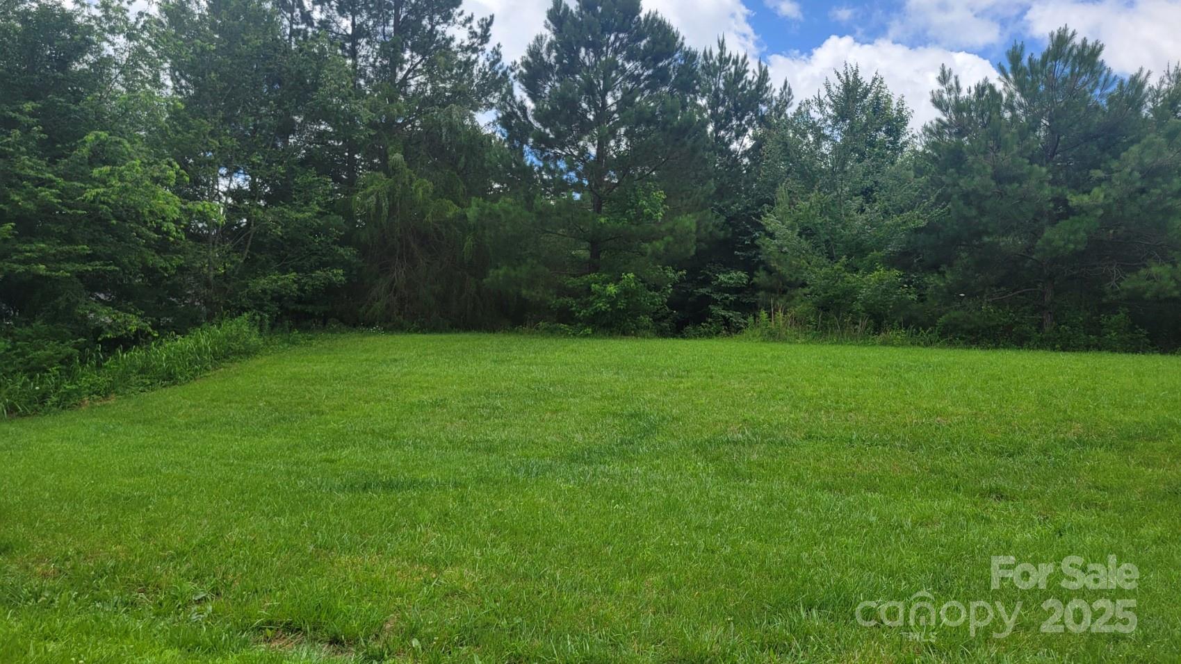0 Riverview Road Lincolnton, NC 28092 - Photo 6 of 8 a view of a green yard