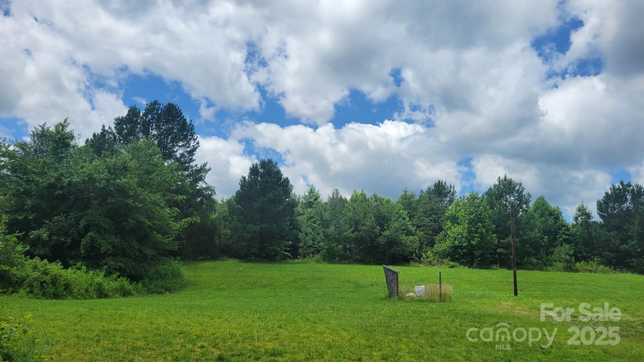 0 Riverview Road Lincolnton, NC 28092 - Photo 7 of 8 a view of a park