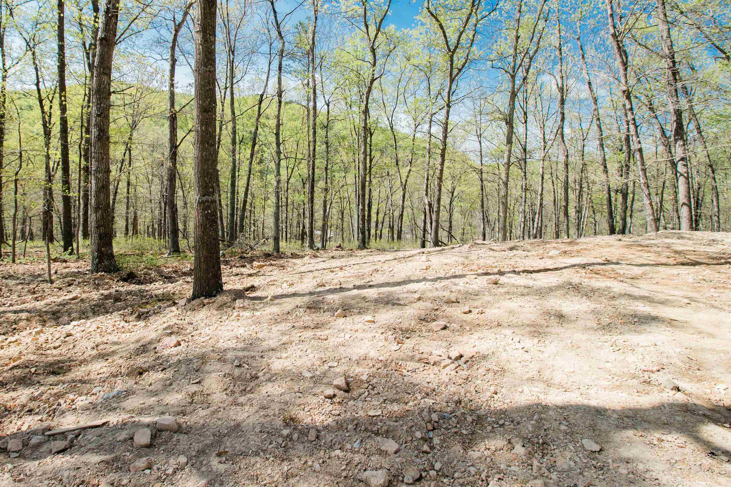 60 Trout Pass Mathias, WV 26812 - Photo 17 of 46 a view of backyard with trees