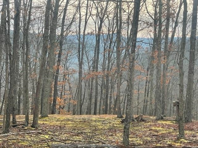 60 Trout Pass Mathias, WV 26812 - Photo 18 of 46 a view of large yard