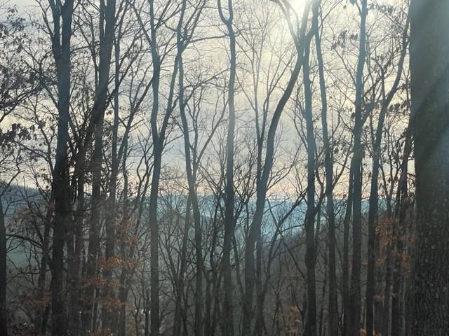 60 Trout Pass Mathias, WV 26812 - Photo 20 of 46 a view of forest