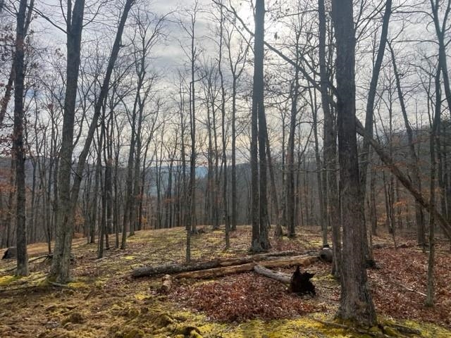 60 Trout Pass Mathias, WV 26812 - Photo 21 of 46 a view of a backyard of the house