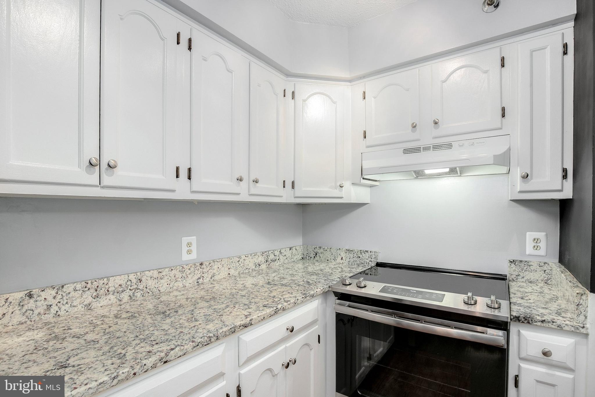 1301 North Courthouse Road, Unit 1605 Arlington, VA 22201 - Photo 5 of 18