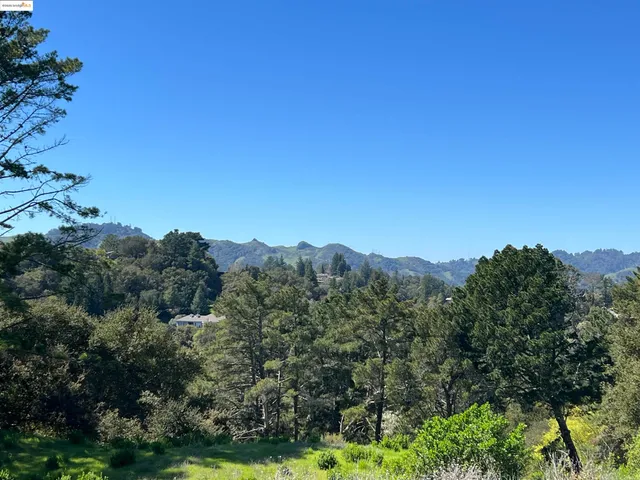 a view of a field with a tree in the background