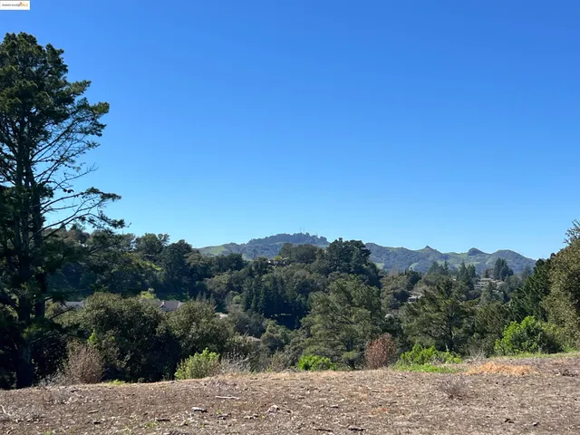 a view of a dry yard with trees in the background
